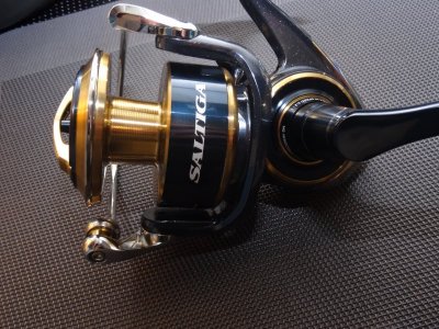 DSC06367.JPG DSC06367.JPG