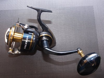 DSC06368.JPG DSC06368.JPG