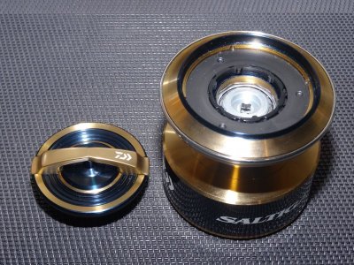 DSC06375.JPG DSC06375.JPG