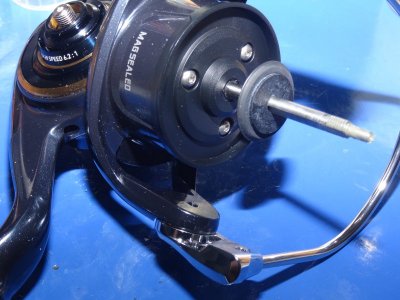 DSC06384.JPG DSC06384.JPG