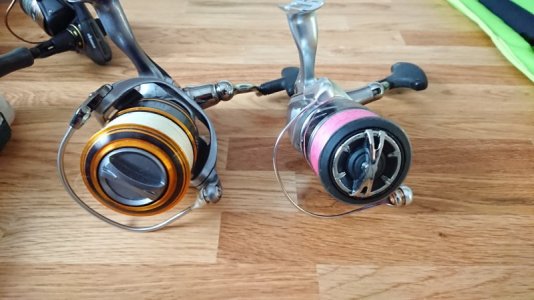 DSC_0318.JPG DSC_0318.JPG