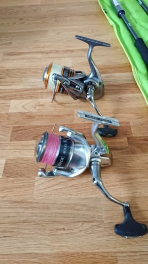 DSC_0317.JPG DSC_0317.JPG