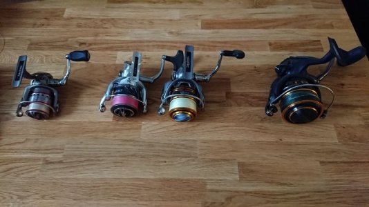 DSC_0323.JPG DSC_0323.JPG