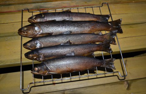 smoked_trout.jpg