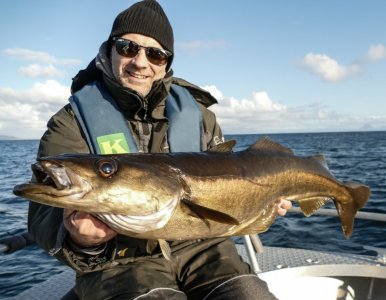 P3910520.jpg P3910520.jpg