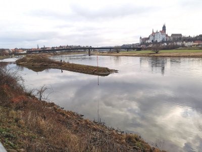 IMG_20211215_140337.jpg IMG_20211215_140337.jpg