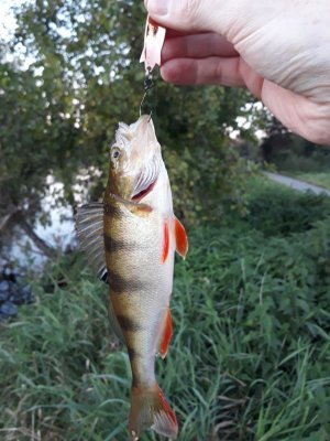 20211009_184317.jpg 20211009_184317.jpg