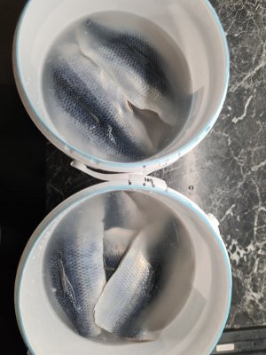 20211216_162539.jpg 20211216_162539.jpg