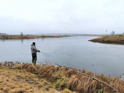 IMG_20211216_132944a.jpg IMG_20211216_132944a.jpg