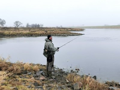 IMG_20211216_124013a.jpg IMG_20211216_124013a.jpg