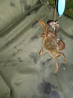 IMG_20210821_224519.jpg IMG_20210821_224519.jpg