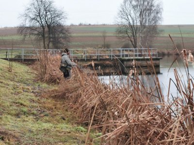 IMG_20211216_152558a.jpg IMG_20211216_152558a.jpg