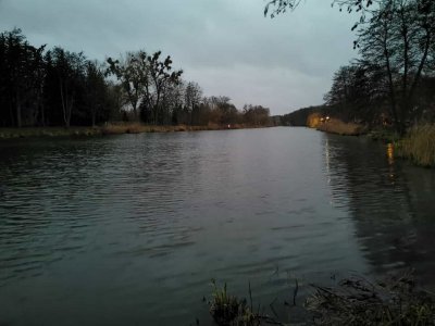 IMG-20211219-WA0006.jpg IMG-20211219-WA0006.jpg