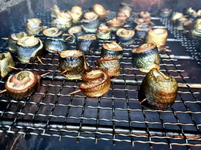 20211220_112839.jpg 20211220_112839.jpg