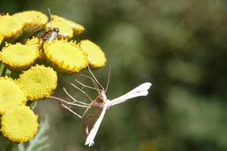 IMG_7104.jpg IMG_7104.jpg