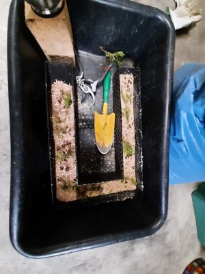 20211220_095107.jpg 20211220_095107.jpg