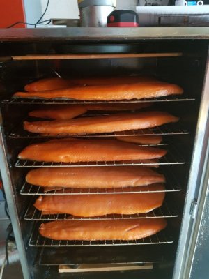 IMG-20211211-WA0000.jpg IMG-20211211-WA0000.jpg