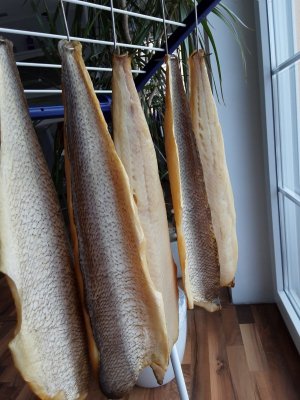 20211225_112119.jpg 20211225_112119.jpg