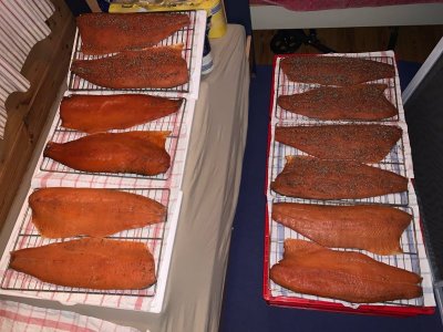 Bild 4.jpeg Bild 4.jpeg