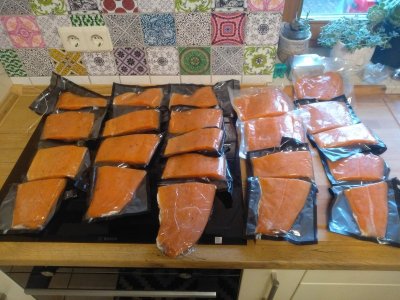 IMG_20211227_092637.jpg IMG_20211227_092637.jpg