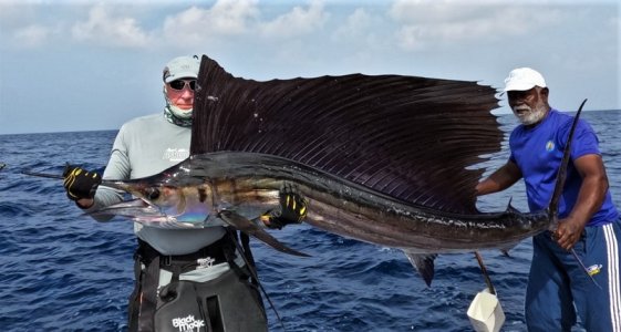 WhatsApp Image 2021-12-27 at 16.23.23.jpeg