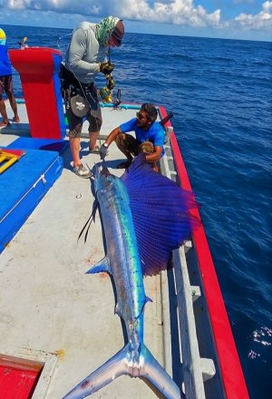 WhatsApp Image 2021-12-27 at 16.23.27 (1).jpeg