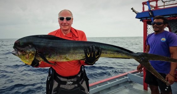 WhatsApp Image 2021-12-27 at 16.23.24.jpeg