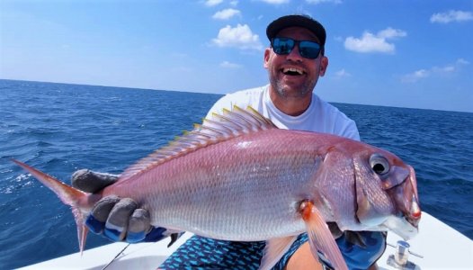 WhatsApp Image 2021-12-27 at 11.28.21.jpeg