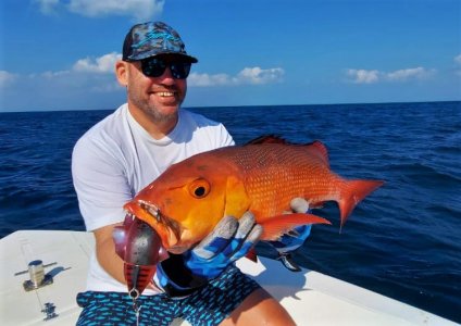 WhatsApp Image 2021-12-27 at 11.28.26.jpeg