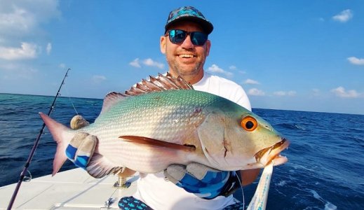 WhatsApp Image 2021-12-27 at 11.28.28.jpeg