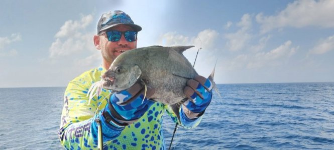 WhatsApp Image 2021-12-28 at 16.54.45.jpeg