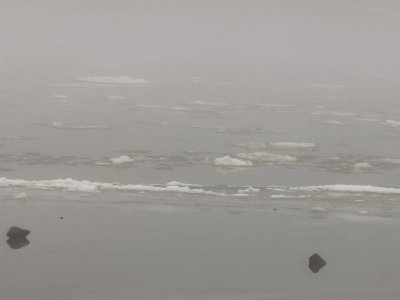 IMG-20211230-WA0003.jpg IMG-20211230-WA0003.jpg