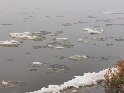 IMG-20211230-WA0002.jpg IMG-20211230-WA0002.jpg