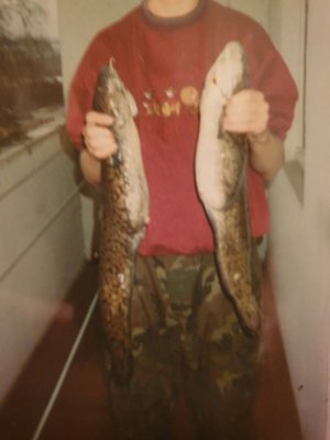 20211228_171909.jpg 20211228_171909.jpg