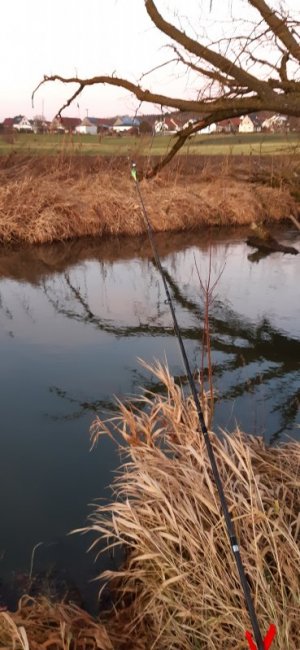 20220101_163936.jpg 20220101_163936.jpg