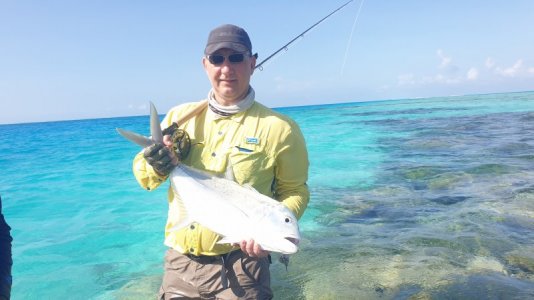 20220102_091550.jpg 20220102_091550.jpg