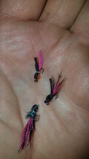 20201010_054455.jpg 20201010_054455.jpg