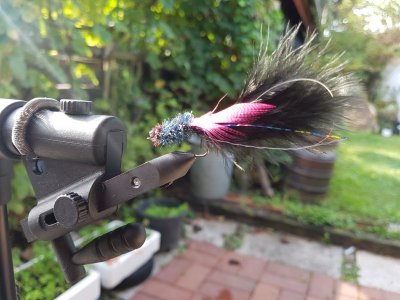 20200903_101914.jpg 20200903_101914.jpg