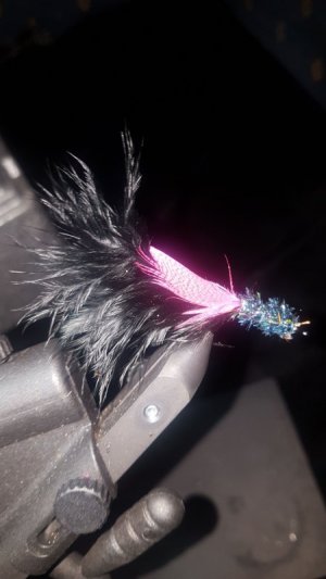 IMG-20200901-WA0000.jpeg IMG-20200901-WA0000.jpeg