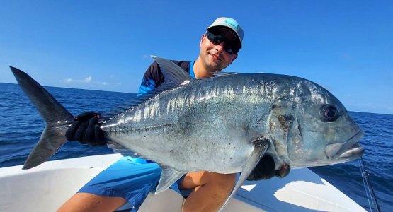 WhatsApp Image 2022-01-02 at 16.46.40.jpeg