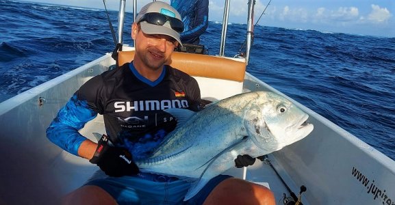 WhatsApp Image 2022-01-02 at 16.46.42.jpeg