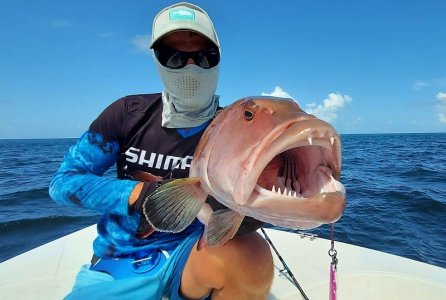 WhatsApp Image 2022-01-03 at 09.15.16.jpeg