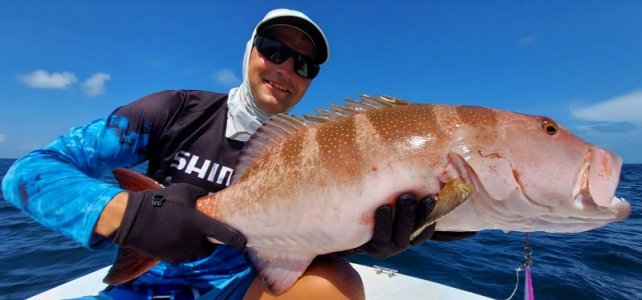 WhatsApp Image 2022-01-03 at 09.15.18.jpeg