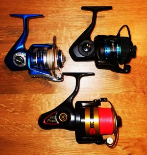 IMG_20220104_164655_edit_1536930440645158.jpg