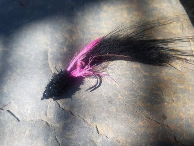 20210810_121728.jpg 20210810_121728.jpg