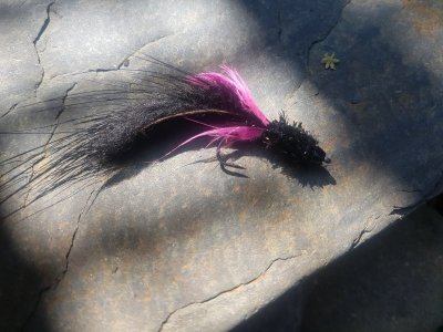 20210810_121712.jpg 20210810_121712.jpg