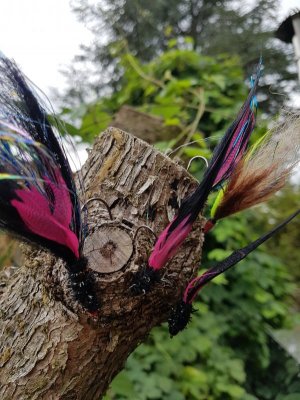 20210809_132057.jpg 20210809_132057.jpg