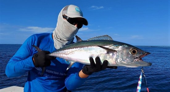 WhatsApp Image 2022-01-05 at 09.51.51.jpeg