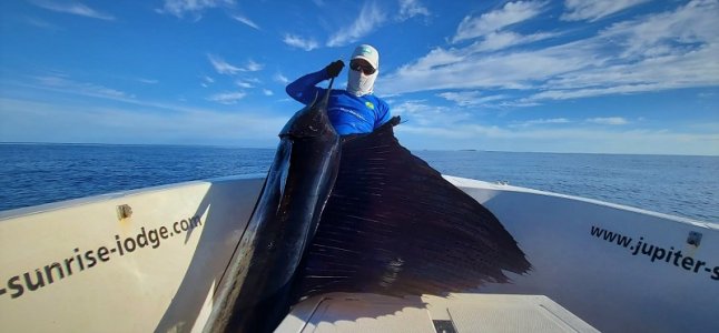 WhatsApp Image 2022-01-05 at 09.51.54.jpeg