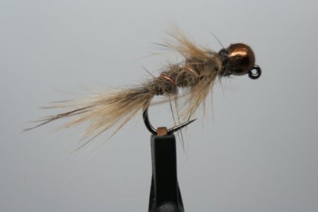 IMG_8341.JPG IMG_8341.JPG